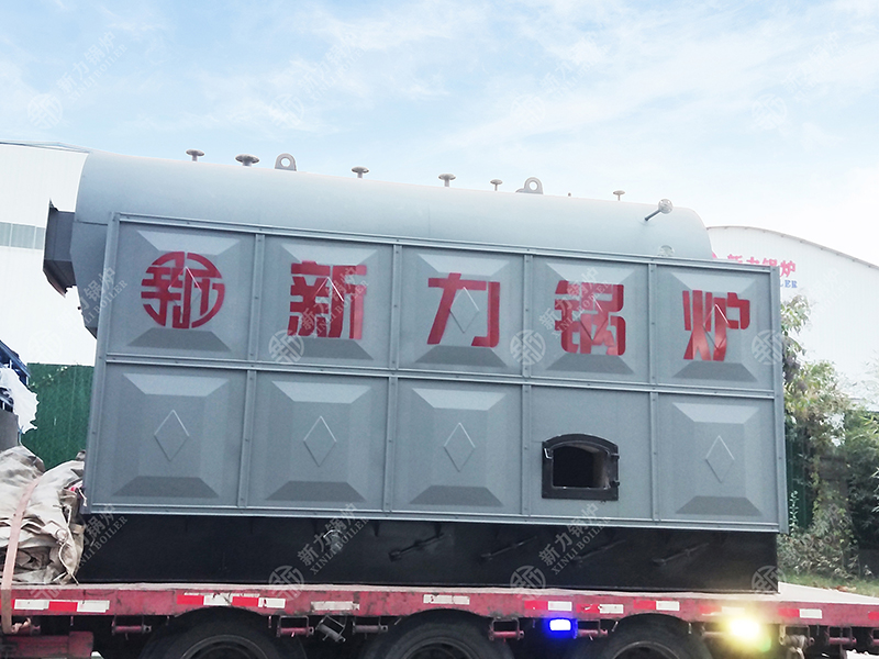 1742863386145249 DZH生物质热水锅炉